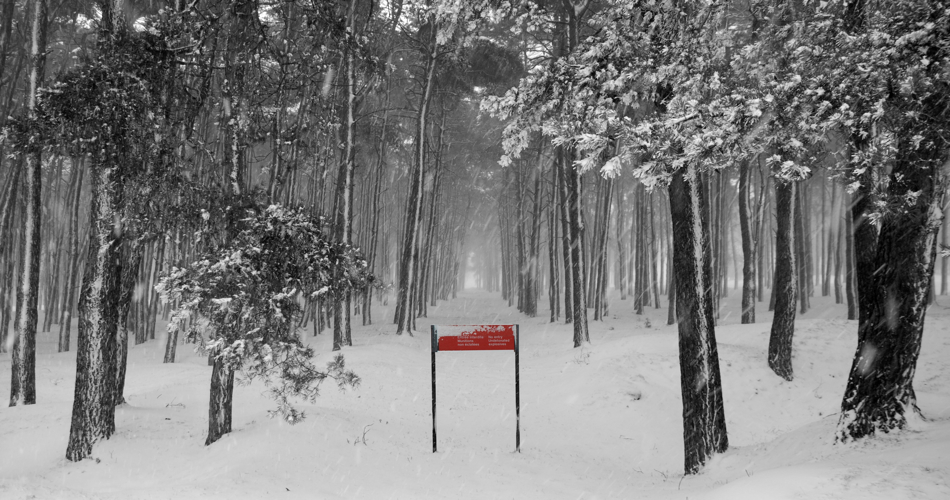 Vimy-snow-sign