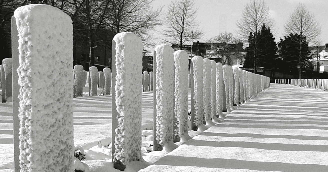 Ypres-Reservoir-in-snow-60000